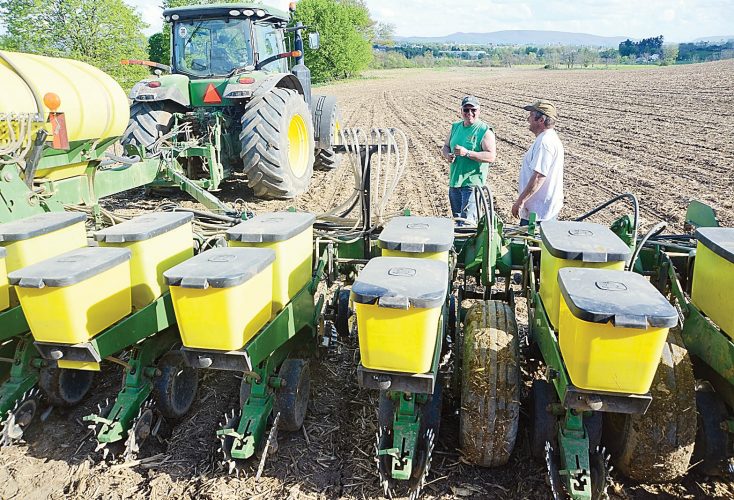 Amaizeing time of year News, Sports, Jobs Altoona Mirror